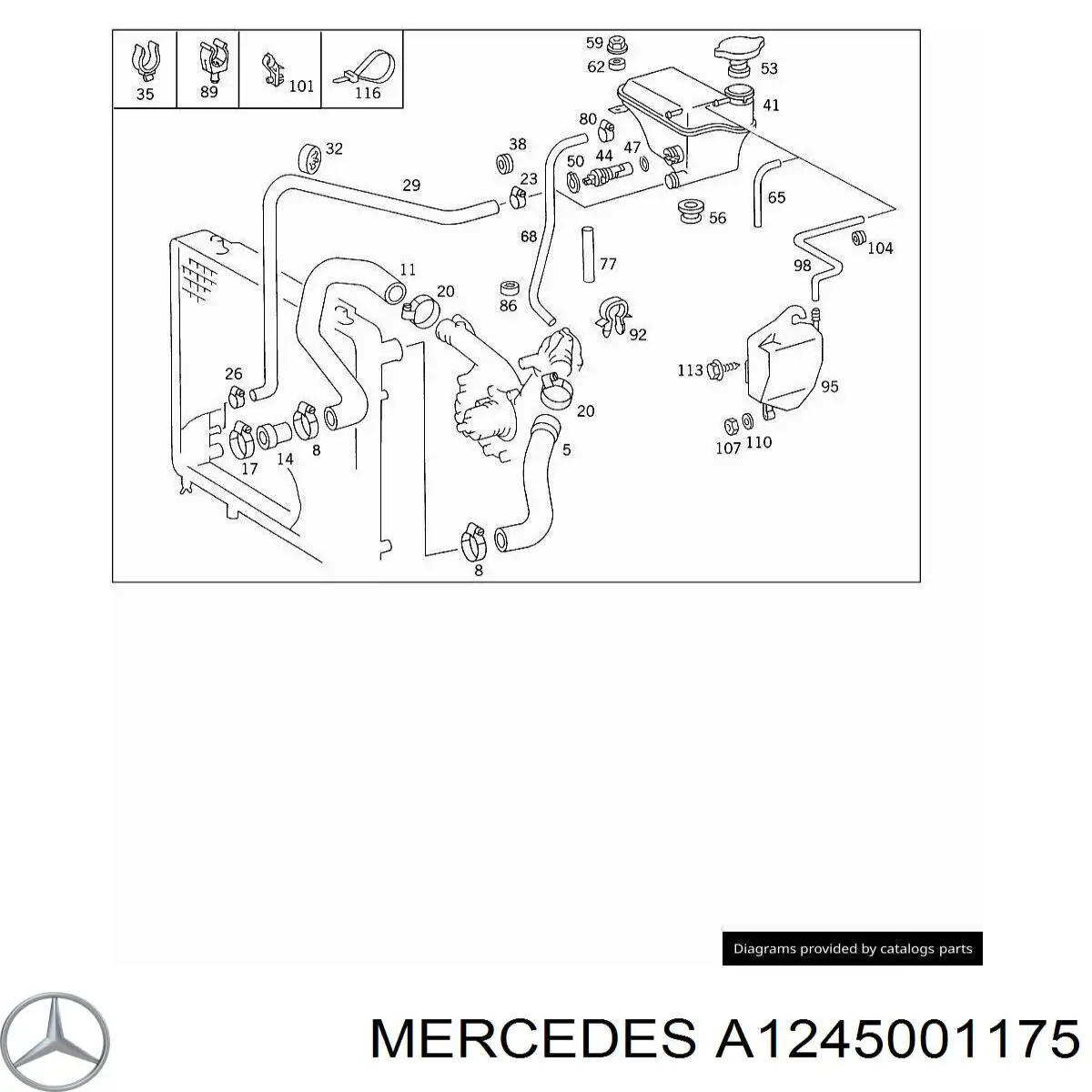 1245001175 Mercedes przewód (króciec chłodnicy dolny)