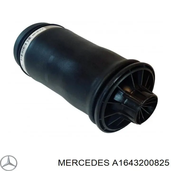 Do koszyka A1643200825 Mercedes Poduszka pneumatyczna (resor pneumatyczny) mostu tylnego