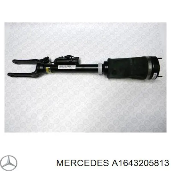 A1643205813 Mercedes Amortyzator przedni