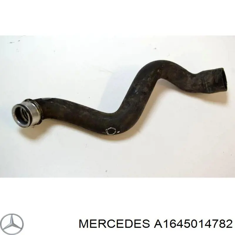 A1645014782 Mercedes Przewód (króciec) chłodnicy dolny
