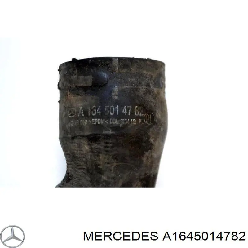 Przewód (króciec) chłodnicy dolny Mercedes A1645014782 cena, od 27,75 USD