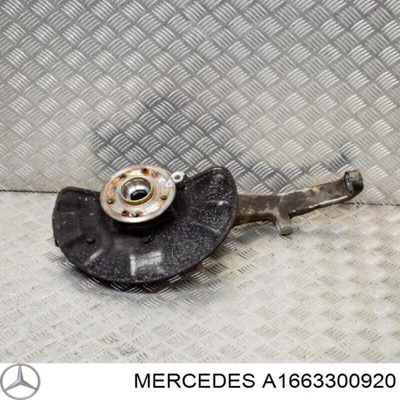 Do koszyka A1663300920 Mercedes Czop (zwrotnica) przedni lewy