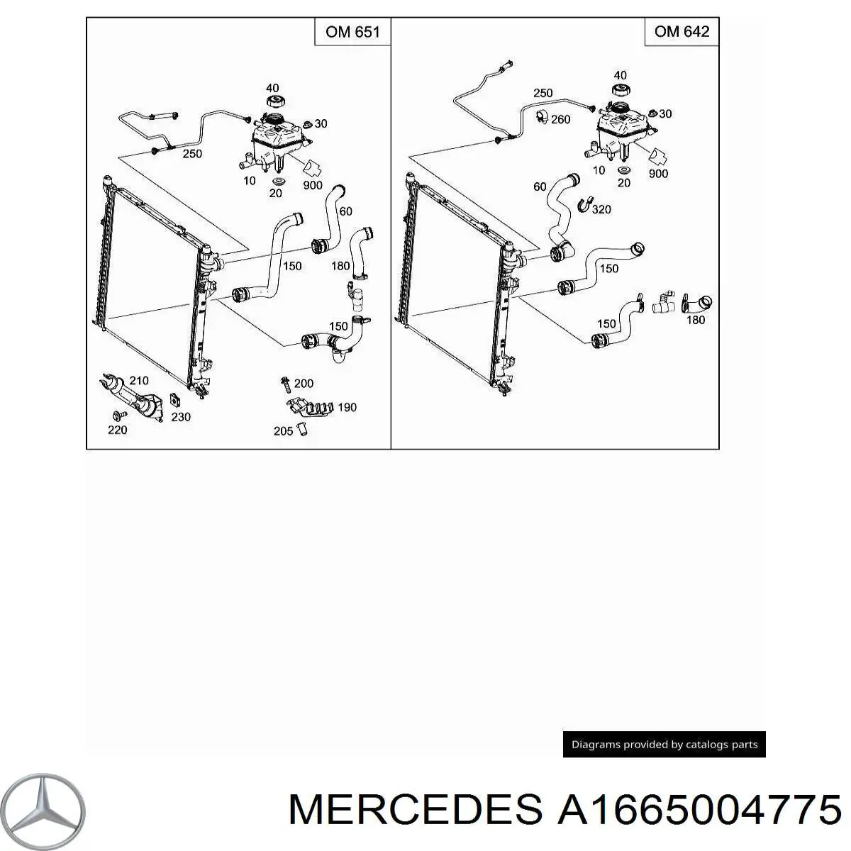 A1665004775 Mercedes Przewód (króciec) chłodnicy dolny