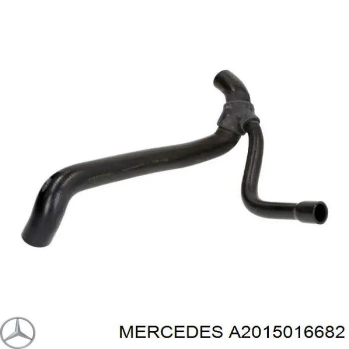 Do koszyka A2015016682 Mercedes Przewód (króciec) chłodnicy dolny