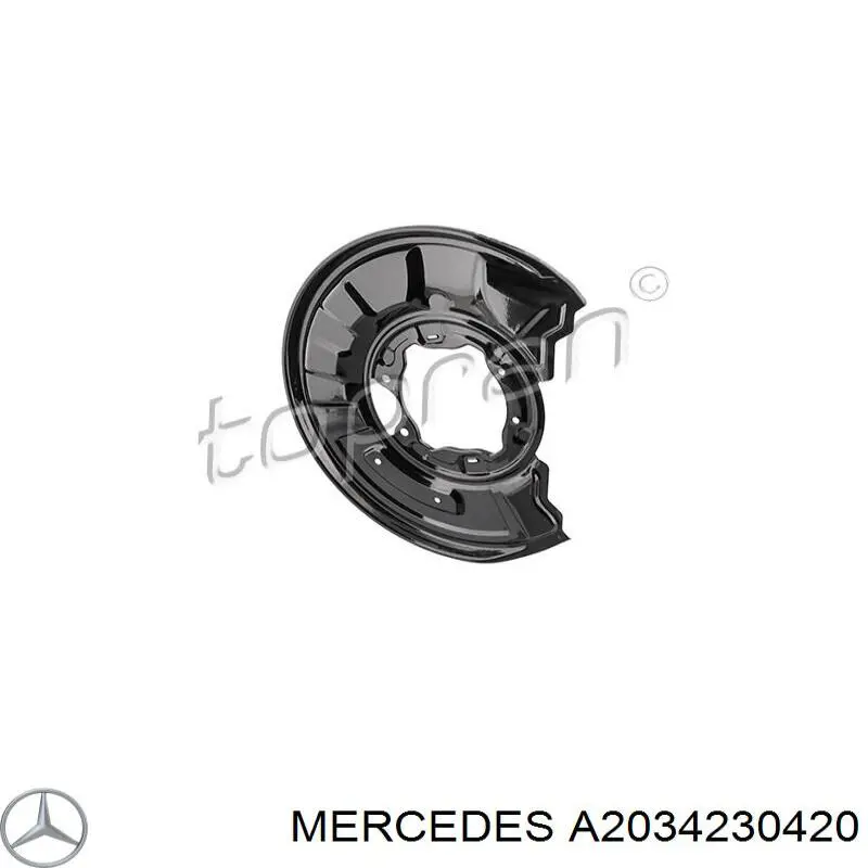 Do koszyka A2034230420 Mercedes Osłona tarczy hamulcowej tylnej prawa