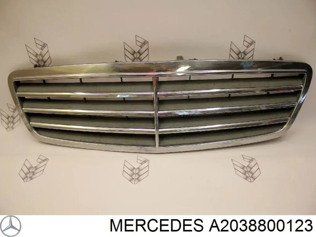A2038800123 Mercedes Atrapa chłodnicy