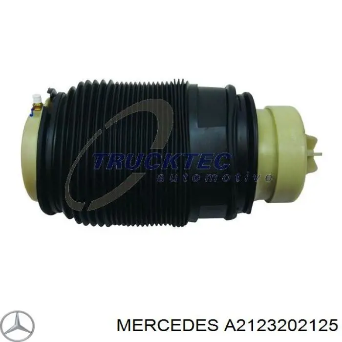 Do koszyka A2123202125 Mercedes Poduszka pneumatyczna (resor pneumatyczny) mostu tylnego