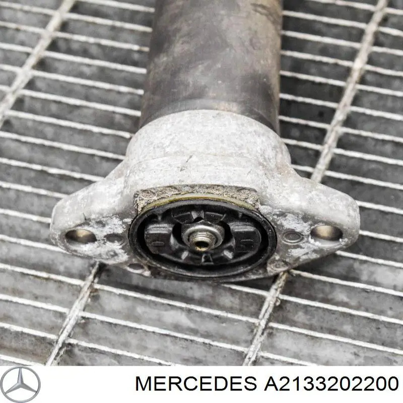 Amortyzator tylny Mercedes A2133202200 cena, od 1208,08 USD