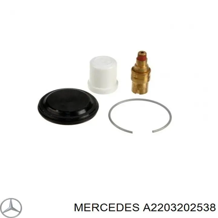 Amortyzator przedni Mercedes A2203202538 cena, od 195,13 USD