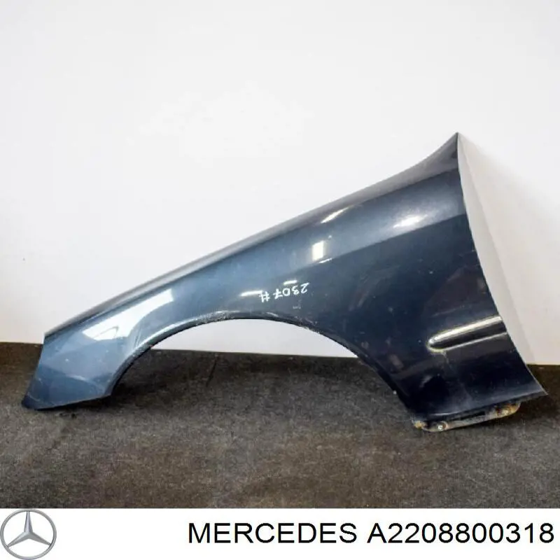 A2208800318 Mercedes Błotnik przedni lewy