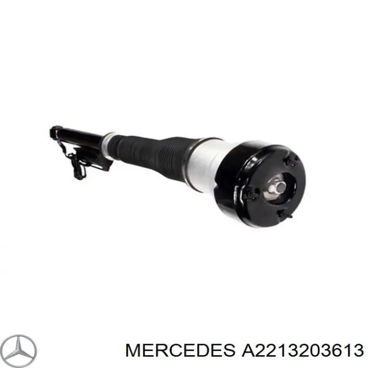 A2213203613 Mercedes Amortyzator tylny lewy