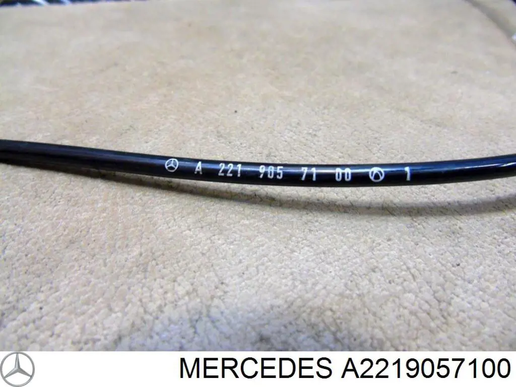 A2219057100 Mercedes Czujnik ABS przedni