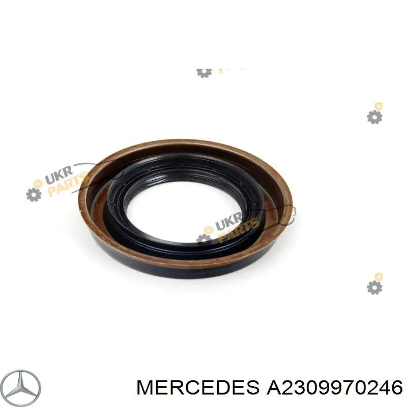 Uszczelniacz końcówki reduktora mostu tylnego do Mercedes C  W203