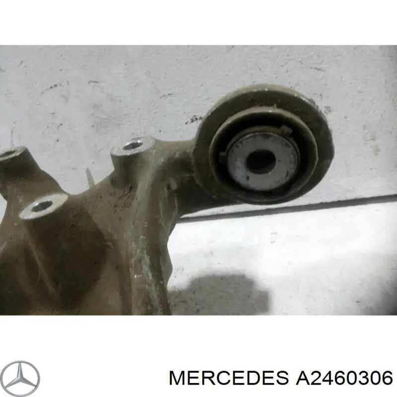 Do koszyka 2463503541 Mercedes Czop (zwortnica) tylny lewy
