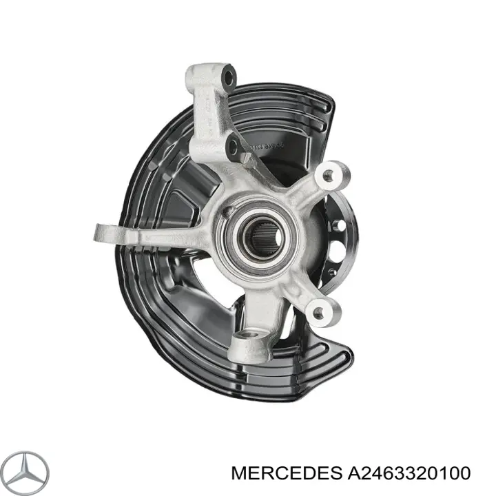 A2463320100 Mercedes Czop (zwrotnica) przedni lewy