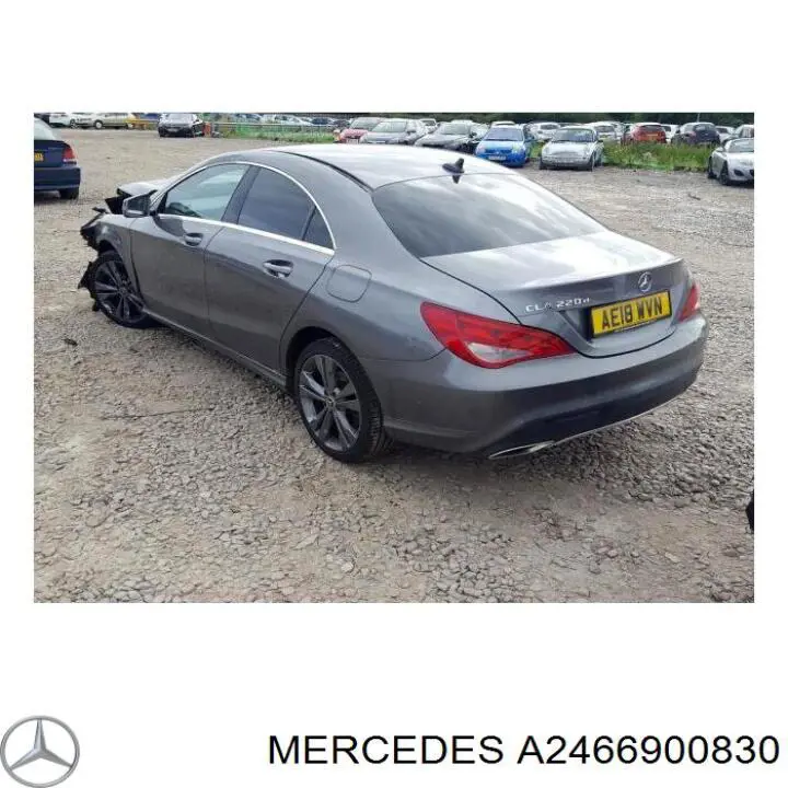 Do koszyka A2466900830 Mercedes Nadkole błotnika przedniego lewe