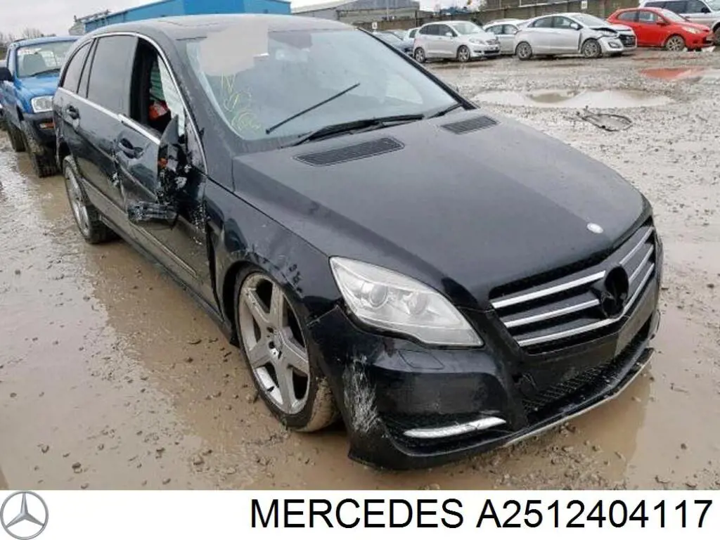 Do koszyka A2512404117 Mercedes Poduszka (podpora) silnika lewa/prawa