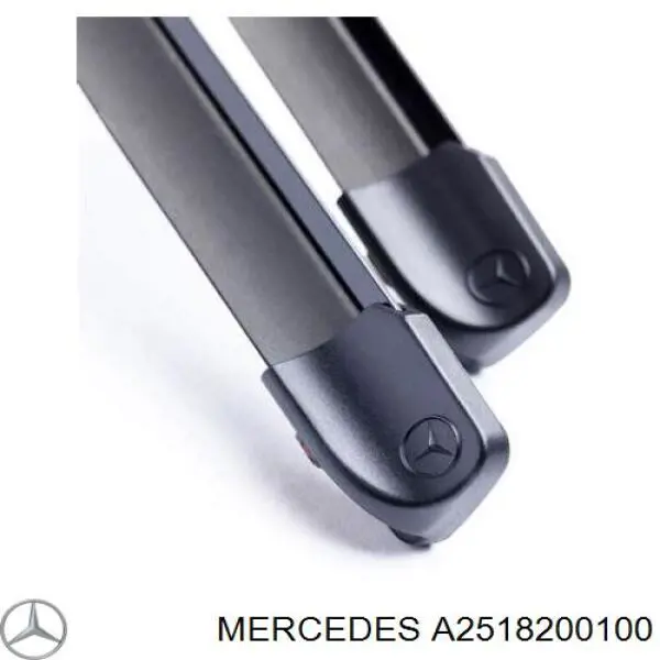 Do koszyka A2518200100 Mercedes Pióro wycieraczki szyby przedniej, zestaw (2 szt.)