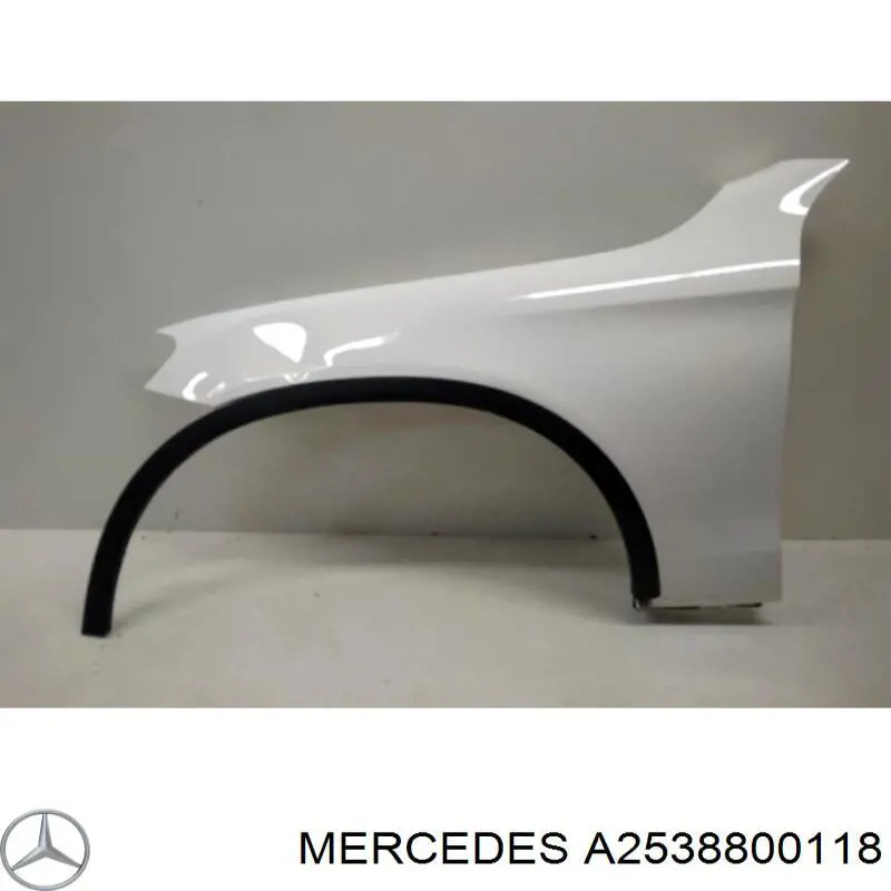 A2538800118 Mercedes Błotnik przedni lewy