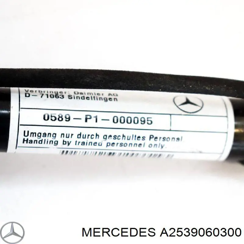 A2539060300 Mercedes Kratka zderzaka przedniego środkowa