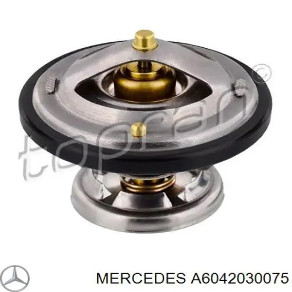 Termostat A6042030075 Mercedes