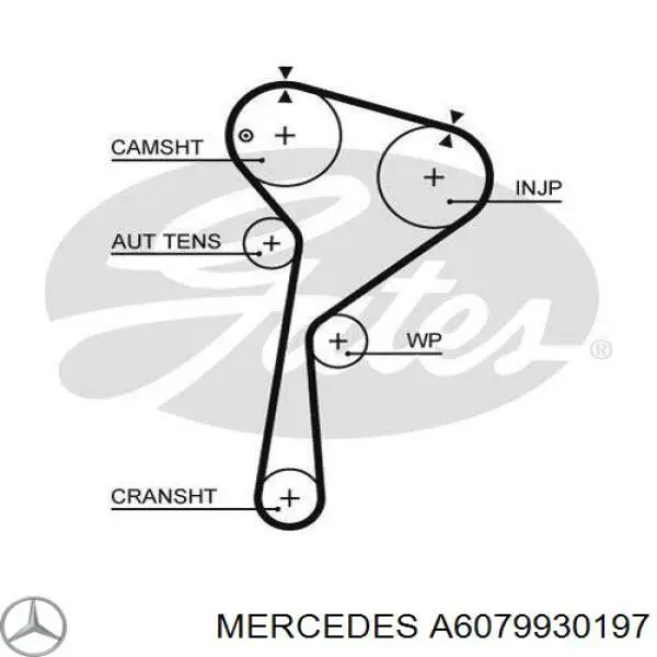 A6079930197 Mercedes pasek rozrządu, zestaw