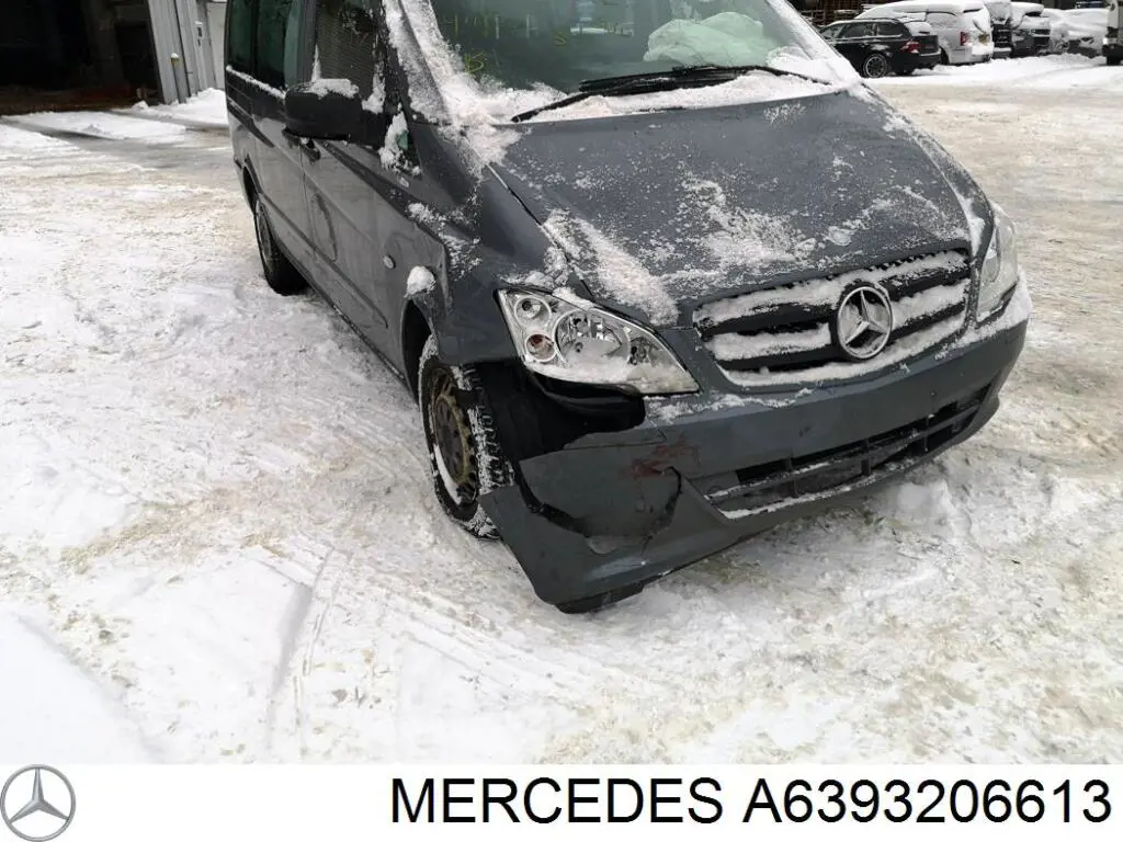 Amortyzator przedni Mercedes A6393206613