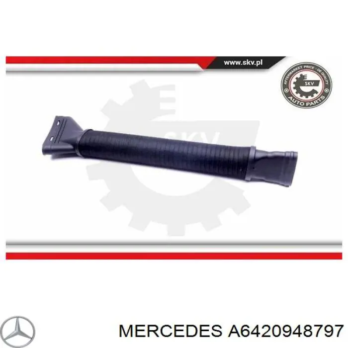 Wlot powietrza do filtra powietrza Mercedes A6420948797 cena, od 61,13 USD