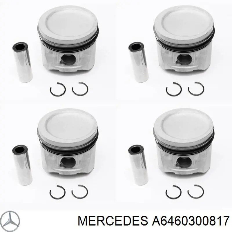 Do koszyka A6460300817 Mercedes Tłok, komplet do jednego cylindru, STD