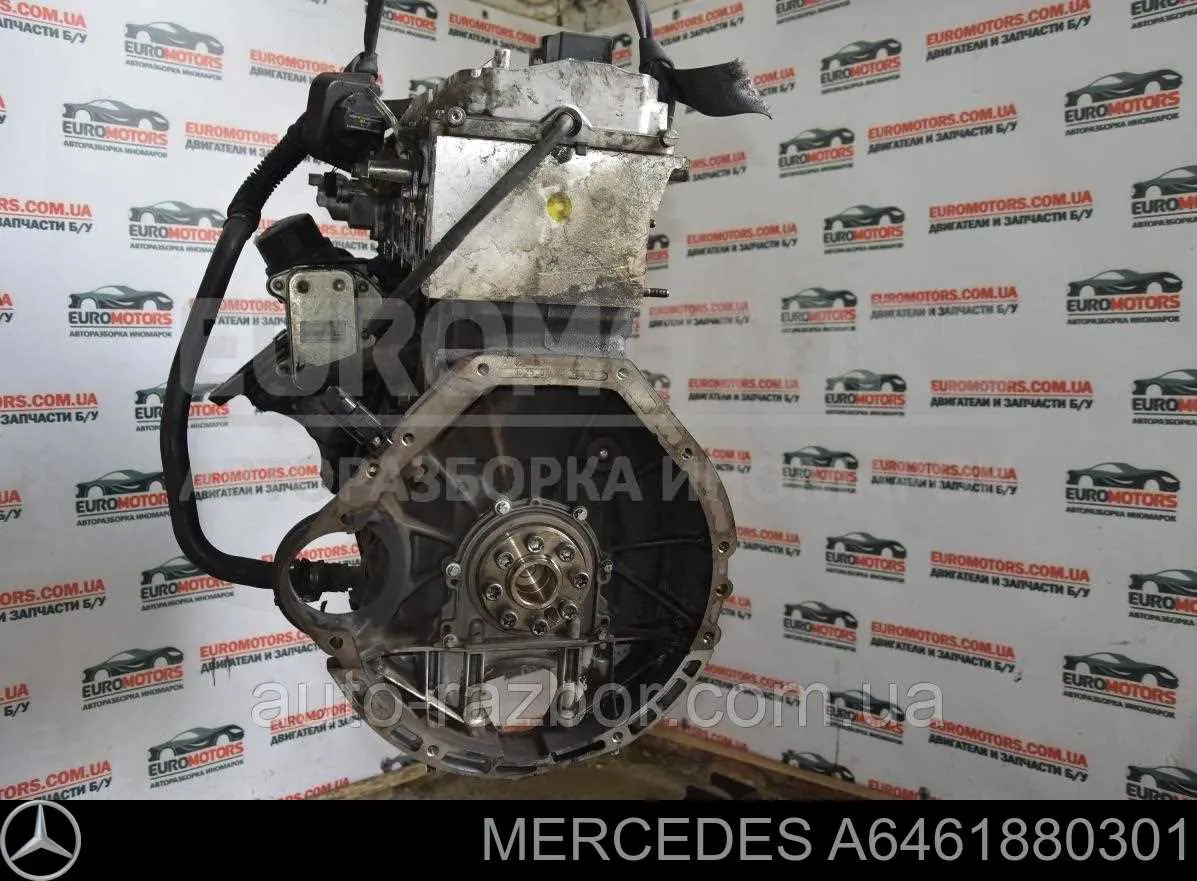 A6461880301 Mercedes Chłodnica oleju