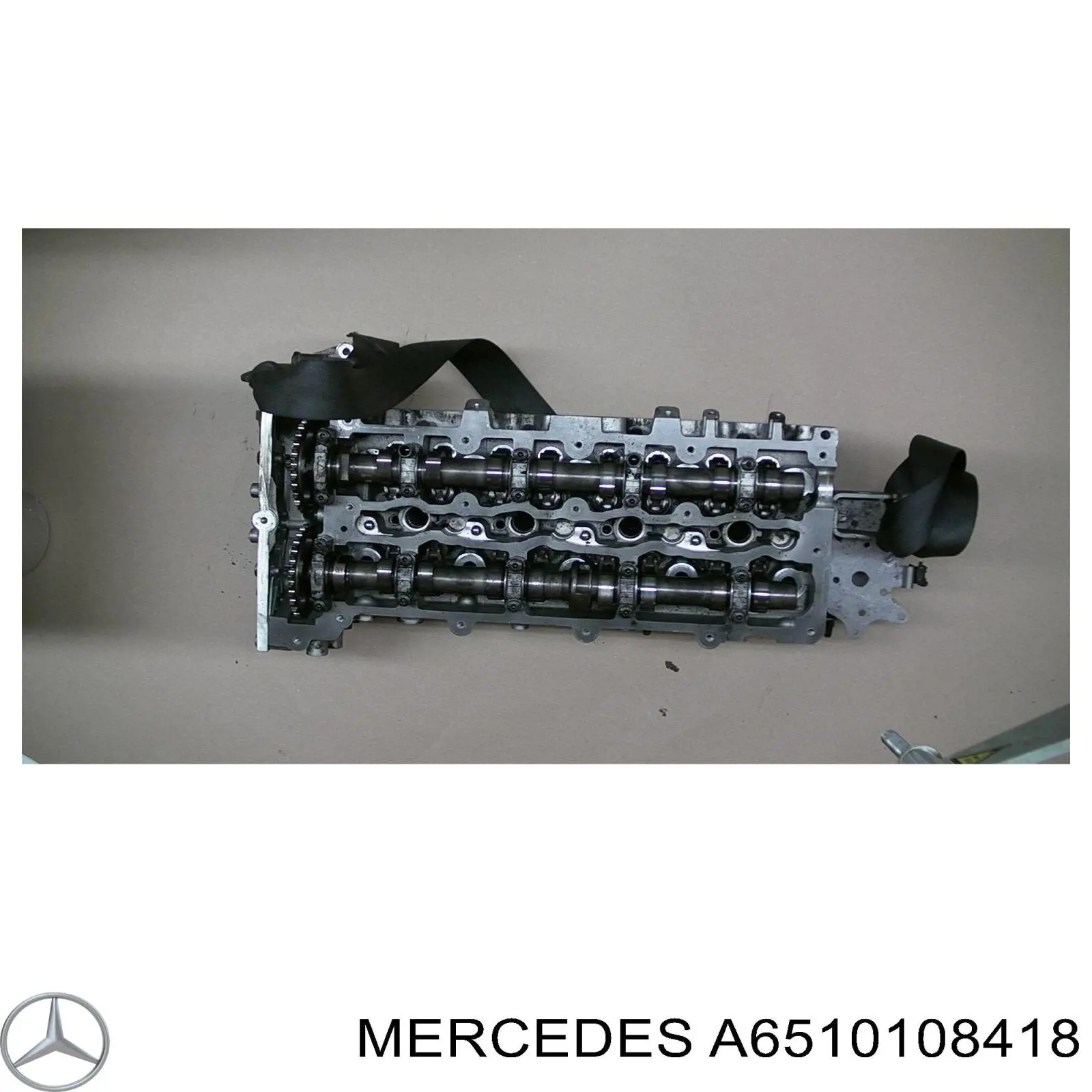 Głowica cylindrów Mercedes A6510101120 cena, od 842,77 USD