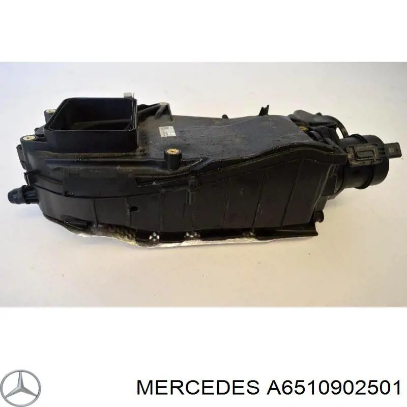 Do koszyka A6510902501 Mercedes Obudowa filtra powietrza