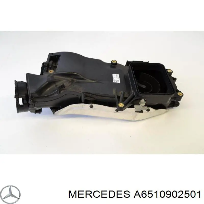 A6510902501 Mercedes Obudowa filtra powietrza