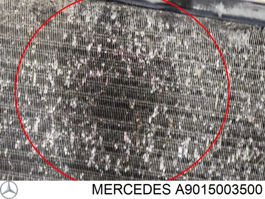 Do koszyka A9015003500 Mercedes Chłodnica silnika