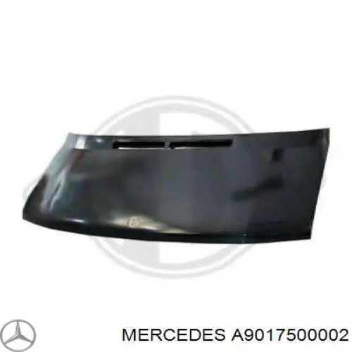 A9017500002 Mercedes Maska silnika