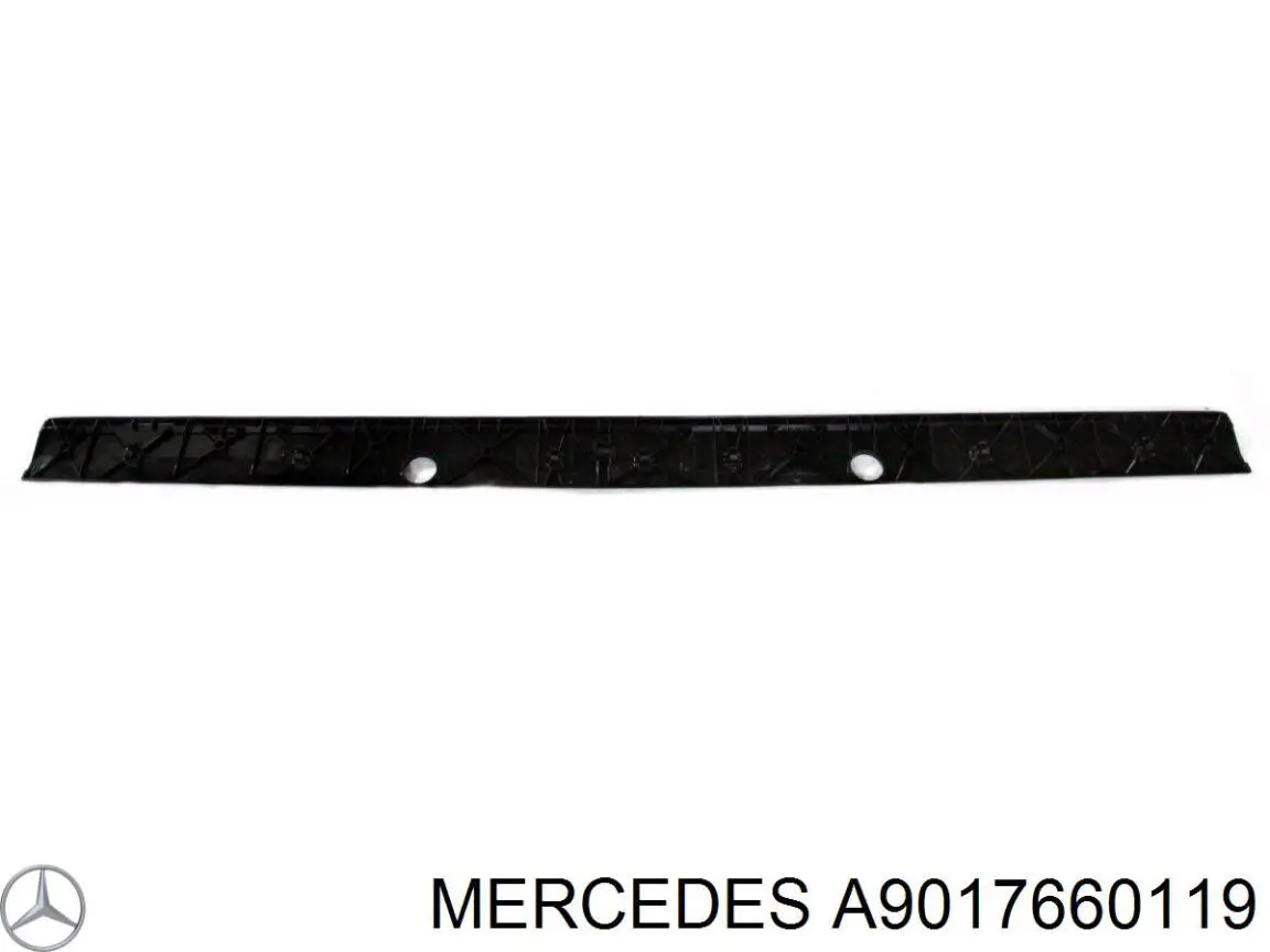A9017660119 Mercedes Nakładka na drzwi tylne lewe dolna