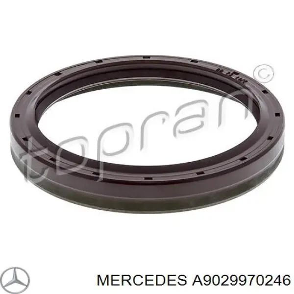 A9029970246 Mercedes Uszczelniacz piasty tylnej