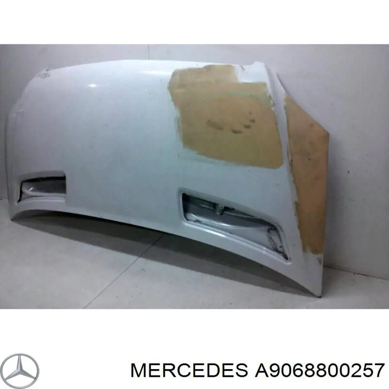 A9068800257 Mercedes Maska silnika