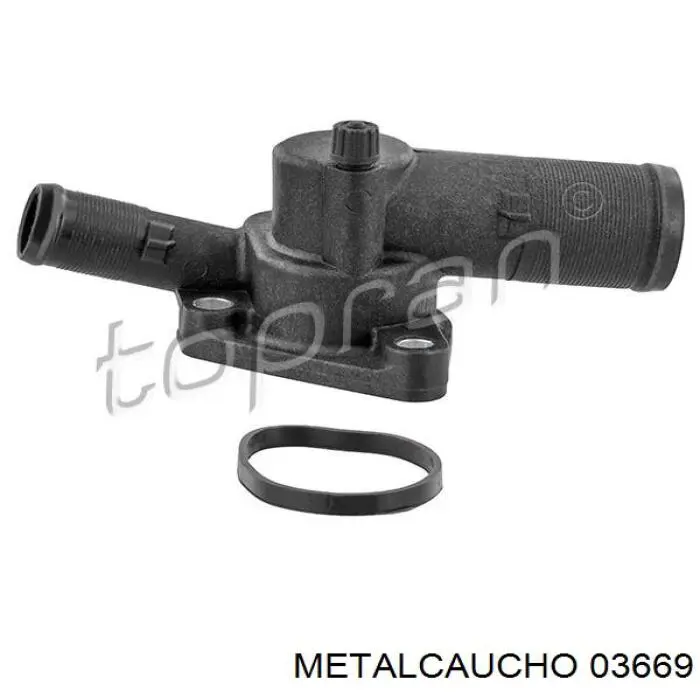 Do koszyka 03669 Metalcaucho Termostat