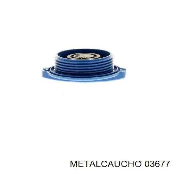 Pokrywa (korek) zbiornika wyrównawczego Metalcaucho 03677 cena, od 7,60 USD