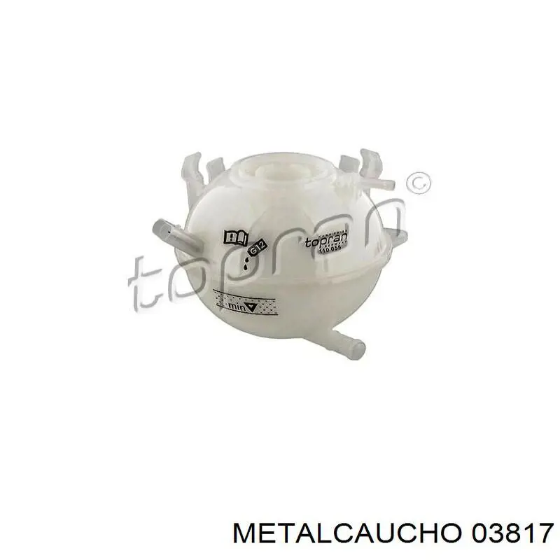 Zbiorniczek wyrównawczy układu chłodzenia Metalcaucho 03817 cena, od 15,79 USD