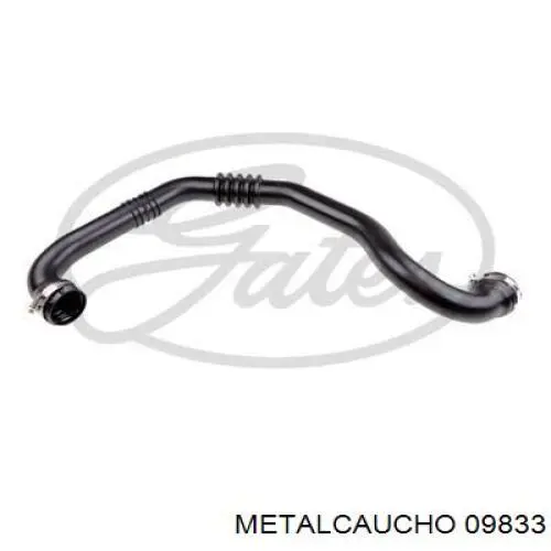 Przewód (króciec) intercoolera Metalcaucho 09833 cena, od 54,34 USD