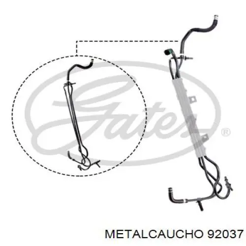 Rurka paliwa, od filtra do pompy Fiat Doblo 2 (263)