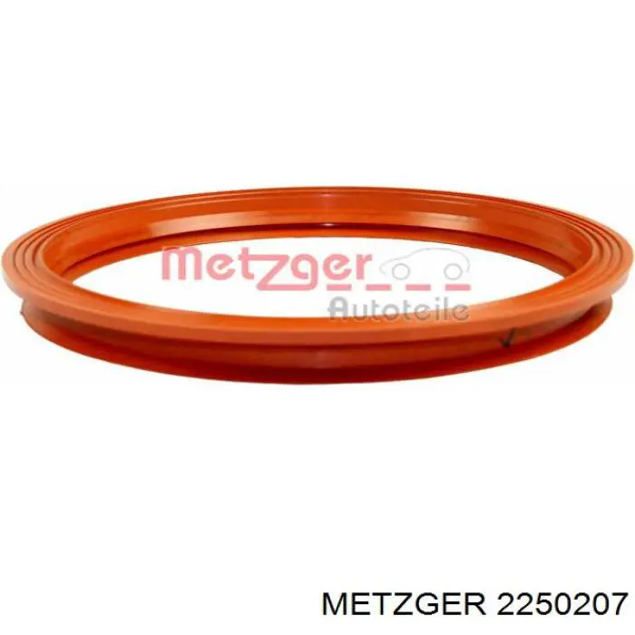 Uszczelka czujnika poziomu paliwa /pompy paliwa (zbiornik paliwa) Metzger 2250207 cena, od 16,33 USD