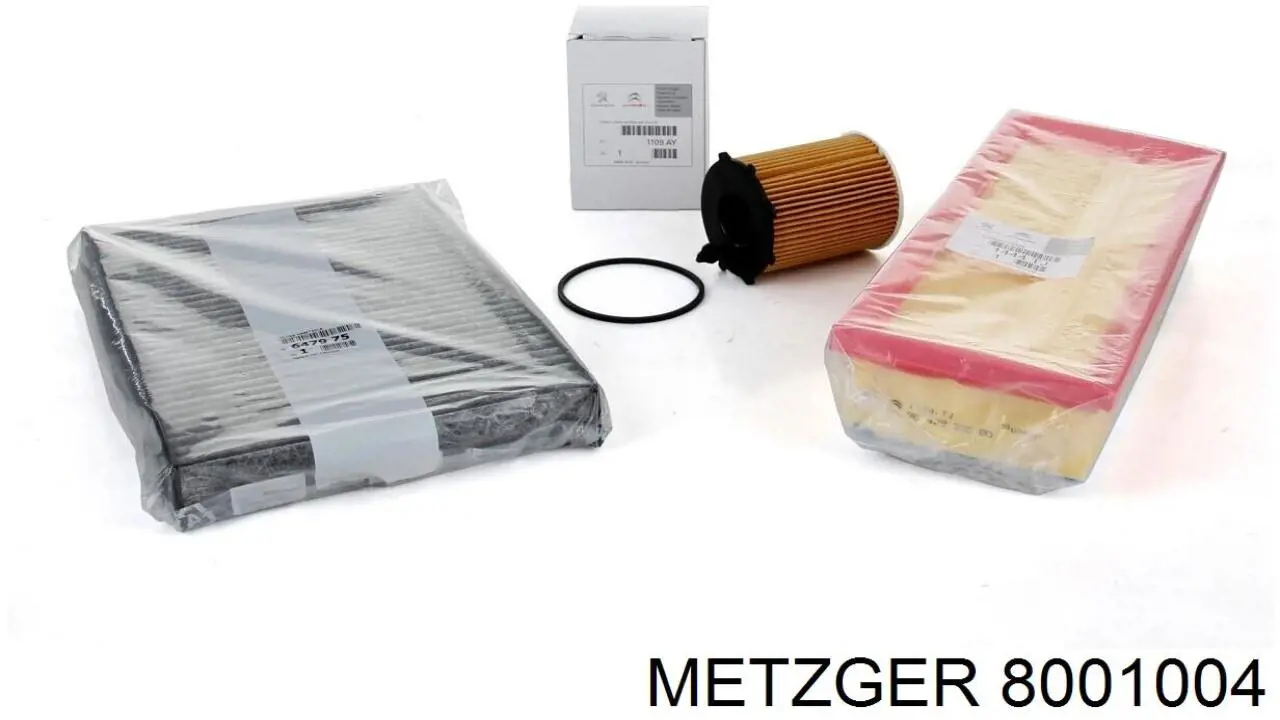 Do koszyka 8001004 Metzger Bagnet poziomu oleju w silniku