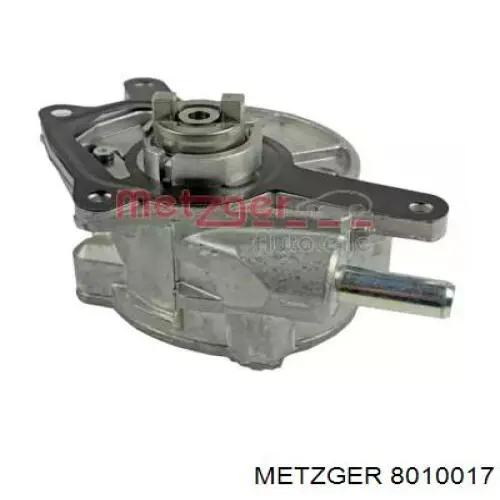 Pompa podciśnienia Borsehung B12525 cena, od 134,38 USD