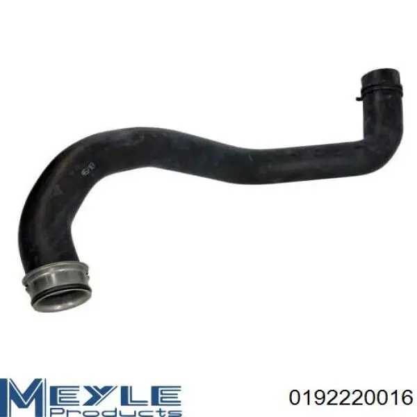 Przewód (króciec) chłodnicy górny Mercedes 1645010482 cena, od 37,44 USD