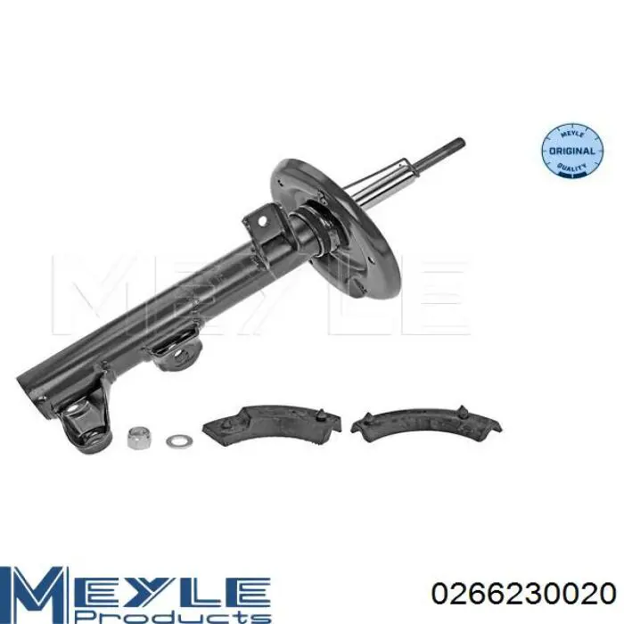 Amortyzator przedni RS317559 Raiso