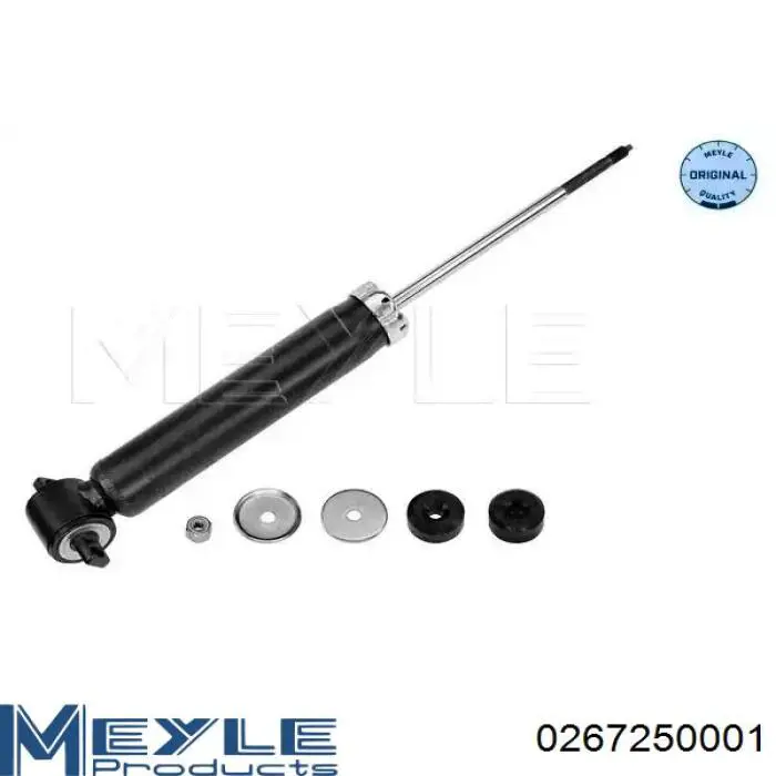 Amortyzator tylny Raiso RS316942 cena, od 44,08 USD