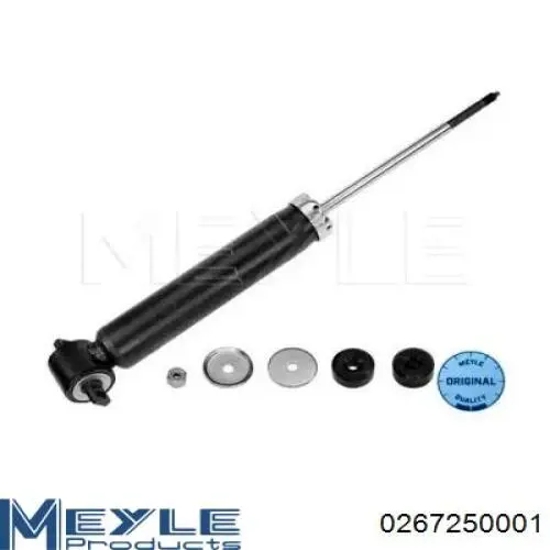 Amortyzator tylny RS316942 Raiso